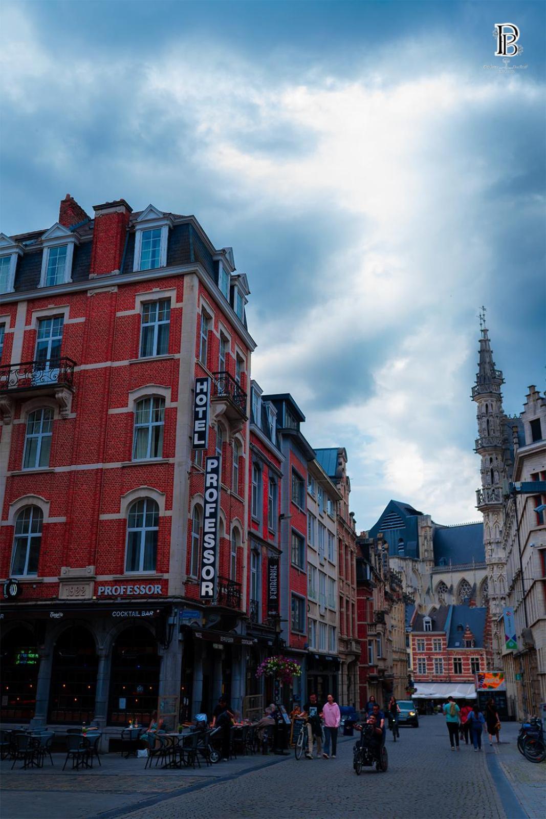 Hotel Professor Leuven Centrum Eksteriør billede