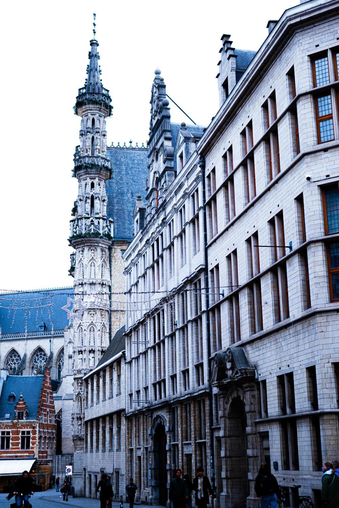 Hotel Professor Leuven Centrum Eksteriør billede